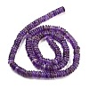 Natural Amethyst Beads Strands G-Q159-B19-01-3