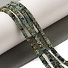 Natural African Turquoise(Jasper) Beads Strands G-N342-83-2