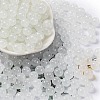 Imitation Jade Glass Seed Beads SEED-Z004-J8MM-05-1