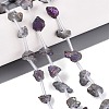 Electroplate Raw Rough Natural Amethyst Beads Strands G-Q610-06D-1