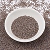 MIYUKI Delica Beads SEED-MY11-DB1749-2