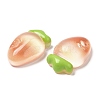 Translucent Resin Fruit Cabochons RESI-G072-03F-2