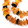 Natural Amber Beads Strands G-T138-237-3