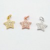 Star Brass Micro Pave Cubic Zirconia Charms ZIRC-F017-33-1