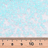 8/0 Transparent Glass Seed Beads SEED-S048-P-003-4