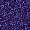 MIYUKI Delica Beads X-SEED-J020-DB0696-3