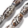 Natural Crackle Agate(Dyed & Heated) Beads Strangs G-NH0037-A02-02-1