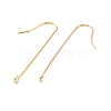 316 Surgical Stainless Steel Earring Hooks STAS-E027-01A-G-2