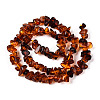 Natural Amber Beads Strands G-T138-235D-2