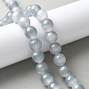 Natural Selenite Beads Strands G-C142-01A-13-2