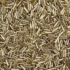 Plated Glass Bugle Beads SEED-S046-01B-22-3