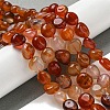 Natural Brazil Red Agate Beads Strands G-L599-A01-01-5