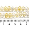 Crack Glass Beads Strands GLAA-M049-01L-4