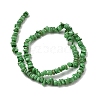 Natural Freshwater Shell Beads SHEL-B003-01E-2