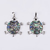 Abalone Shell/Paua Shell Pendants SSHEL-L008-12P-2