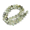 Natural Prehnite Beads Strands G-G053-B12-01B-3