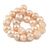 Natural Cultured Freshwater Pearl Beads Strands PEAR-A006-08B-3