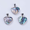 Abalone Shell/Paua Shell Pendants X-SSHEL-L008-03P-1