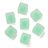 Frosted Acrylic European Beads OACR-G012-14B-1