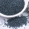 MIYUKI Round Rocailles Beads X-SEED-G007-RR1938-1