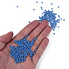 8/0 Czech Opaque Glass Seed Beads SEED-N004-003A-11-5