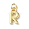 Rack Plating Brass Charms KK-P245-06G-R-1