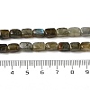 Natural Labradorite Beads Strands G-H087-D03-01-5