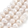 Natural Cultured Freshwater Pearl Beads Strands PEAR-C003-14C-1