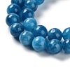Dyed Natural Malaysia Jade Beads Strands G-G021-02B-10-4