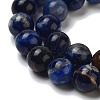 Natural South Africa Sodalite Beads Strands G-S259-35-12mm-01-6