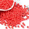 Baking Paint Glass Seed Beads SEED-H002-I-B513-1