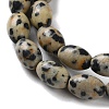 Natural Dalmatian Jasper Beads Strands G-I369-B03-01-4