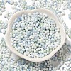 Baking Paint Glass Seed Beads SEED-F005-01A-13-2