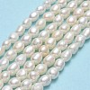 Natural Cultured Freshwater Pearl Beads Strands PEAR-J006-11A-01-2