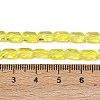 Transparent Glass Beads Strands GLAA-Z018-C24-4