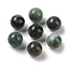 Natural Indian Agate No Hole Sphere Beads G-K353-04B-09-1