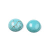 Craft Findings Dyed Synthetic Turquoise Gemstone Flat Back Dome Cabochons TURQ-S266-6mm-01-2