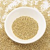 MIYUKI Delica Beads SEED-JP0008-DB0034-2