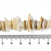 Natural Shell Pearl Beads Strands BSHE-H109-08-4