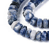 Natural Blue Spot Jasper Beads Strands G-N357-14A-04-4