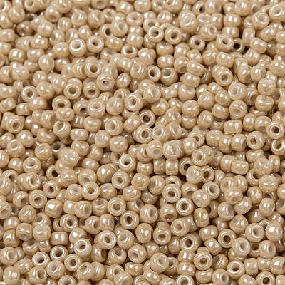 MIYUKI Round Rocailles Beads X-SEED-G008-RR0593-1