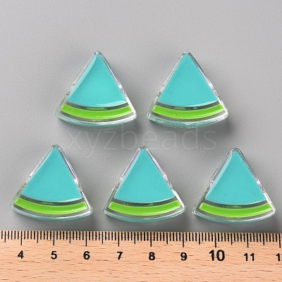 Transparent Enamel Acrylic Beads TACR-S155-001G-1