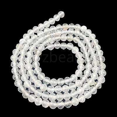 Natural Quartz Crystal Beads Strands G-H002-A02-01-1