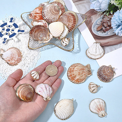 32Pcs 8 Styles Electroplated Natural Mixed Shell Pendants SSHEL-SC0001-62C-1