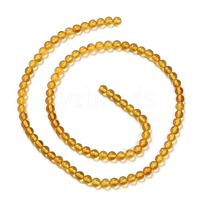 Natural Amber Beads Strands G-L584-02-1