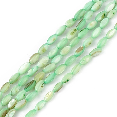 Natural Freshwater Shell Dyed Beads Strands SHEL-M018-13-03-1
