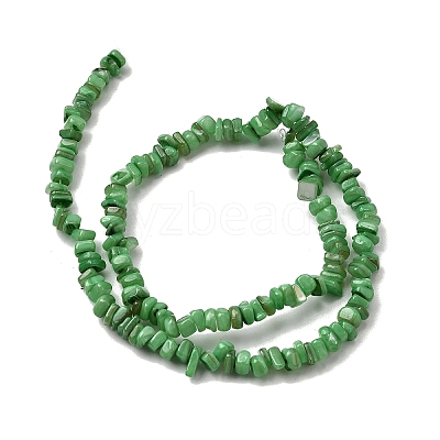 Natural Freshwater Shell Beads SHEL-B003-01E-1