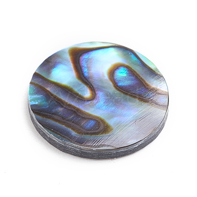Natural Abalone Shell/Paua Shell Cabochons SSHEL-L017-001-1