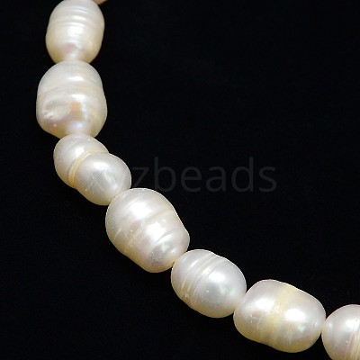 Natural Cultured Freshwater Pearl Beads Strands PEAR-L001-A-20-1