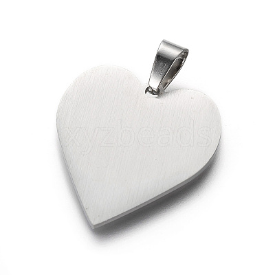 Tarnish Resistant 304 Stainless Steel Pendants LS-STAS-F214-02P-1